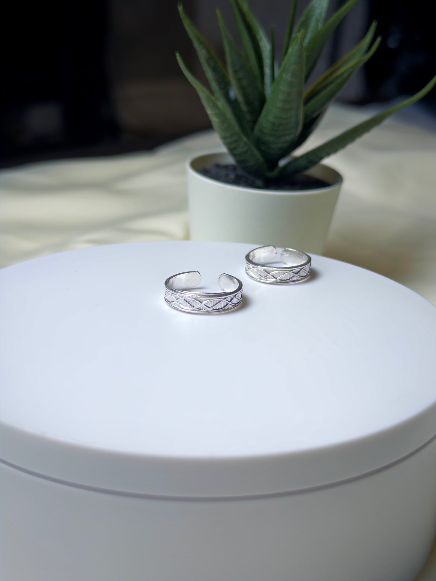 Two silver toe rings on a white surface with a plant in the background