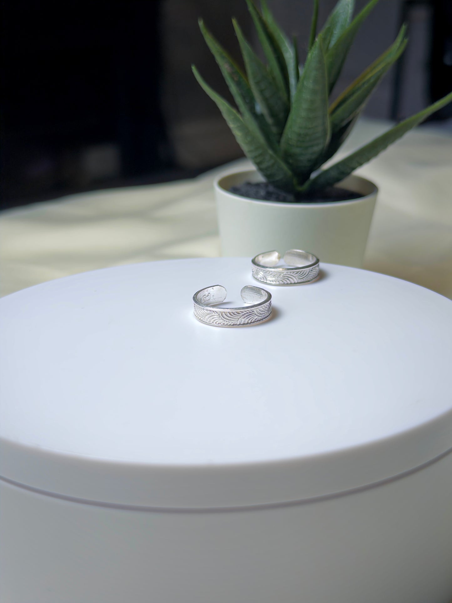 Two silver toe rings on a white surface with a blurred plant in the background