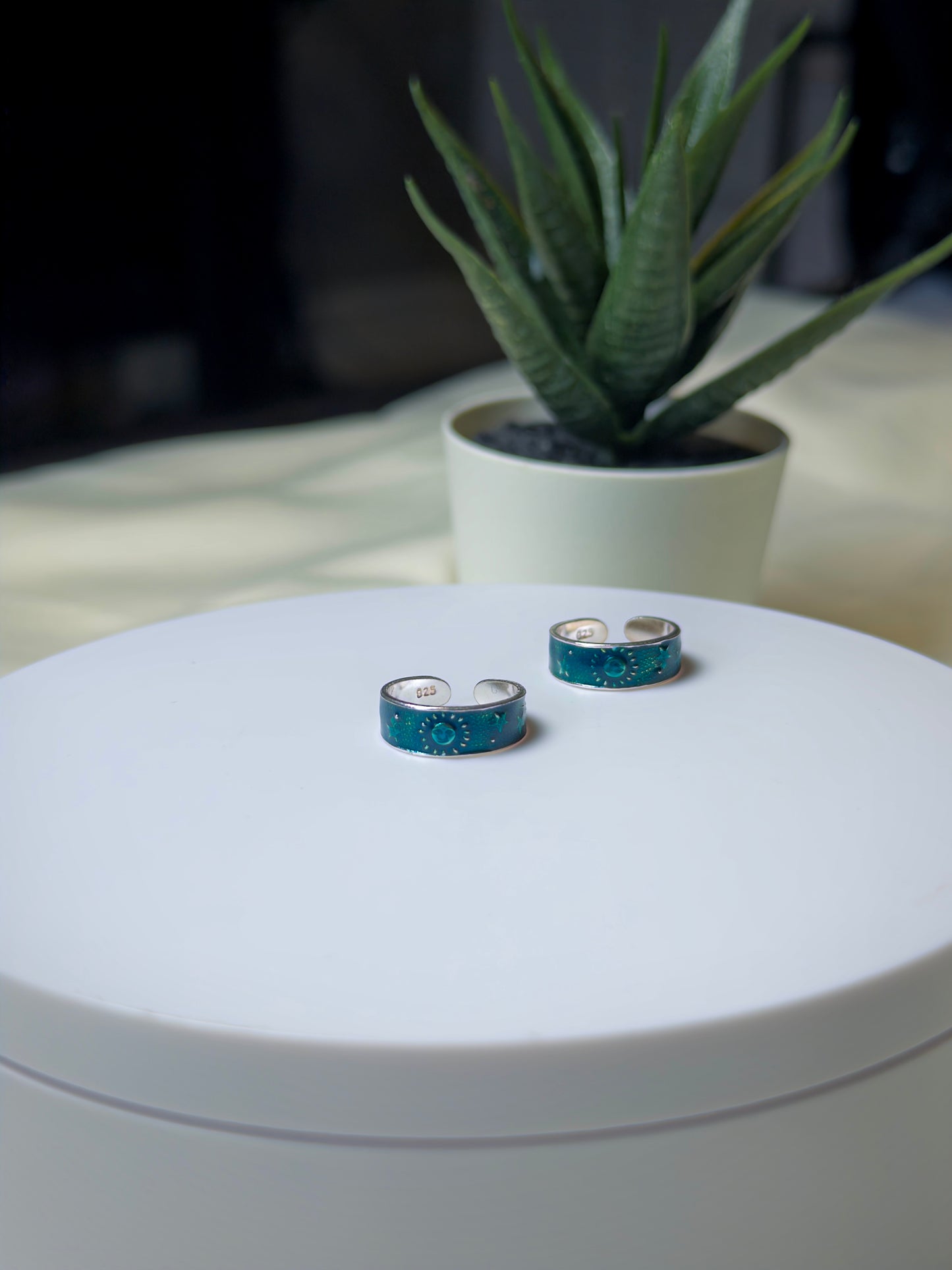 Pair of sea green and silver earrings on a white surface with a plant in the background