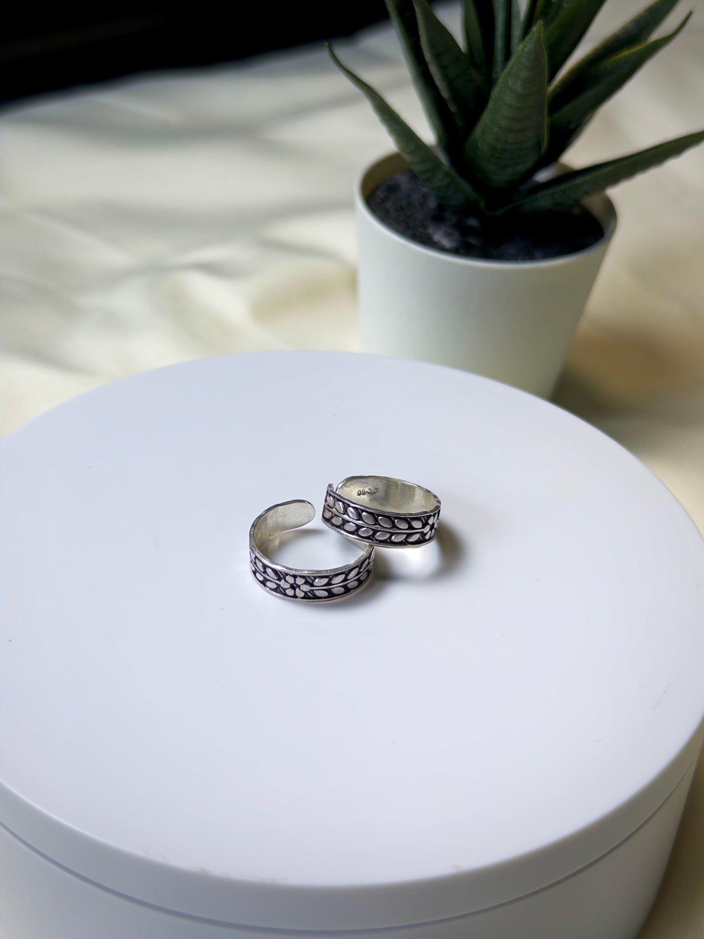 Silver toe rings on a white box with a plant in the background
