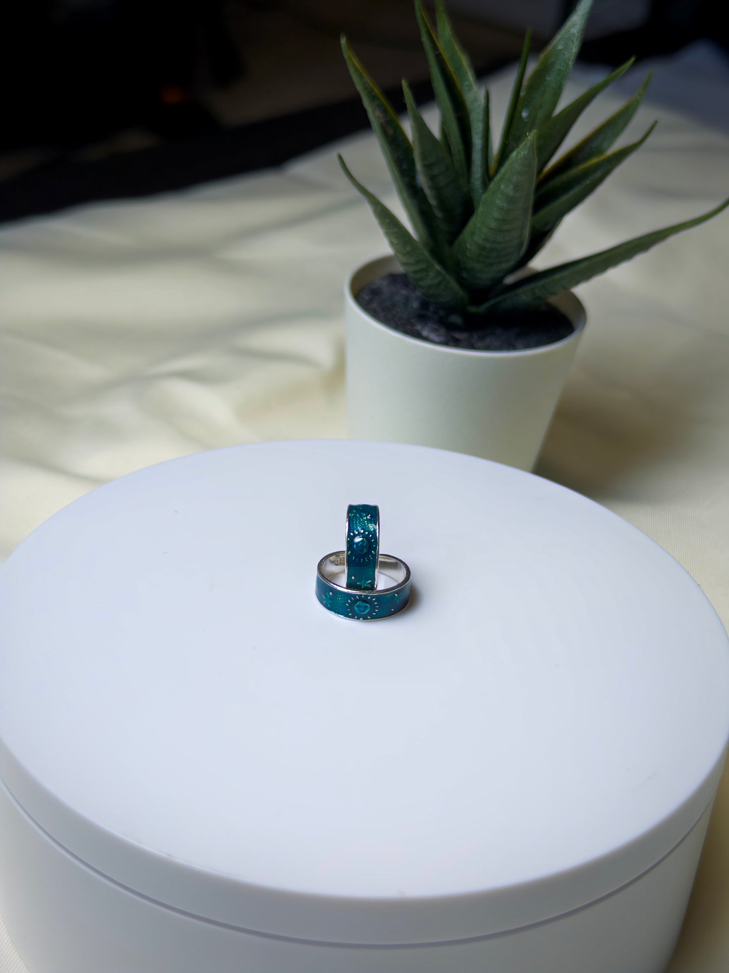 Two toe rings on a white box with a potted plant in the background