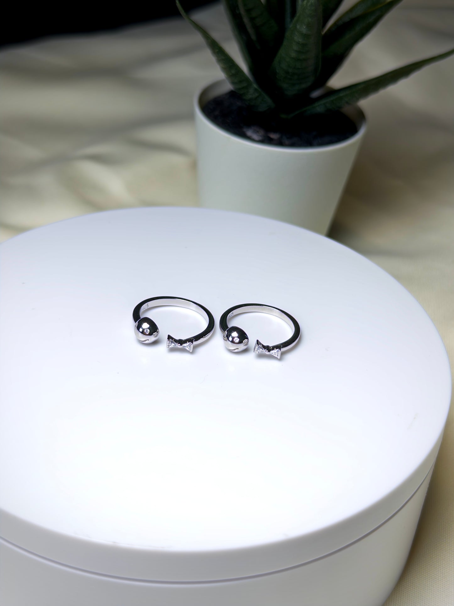 Silver Toe Rings on a white box with a plant in the background