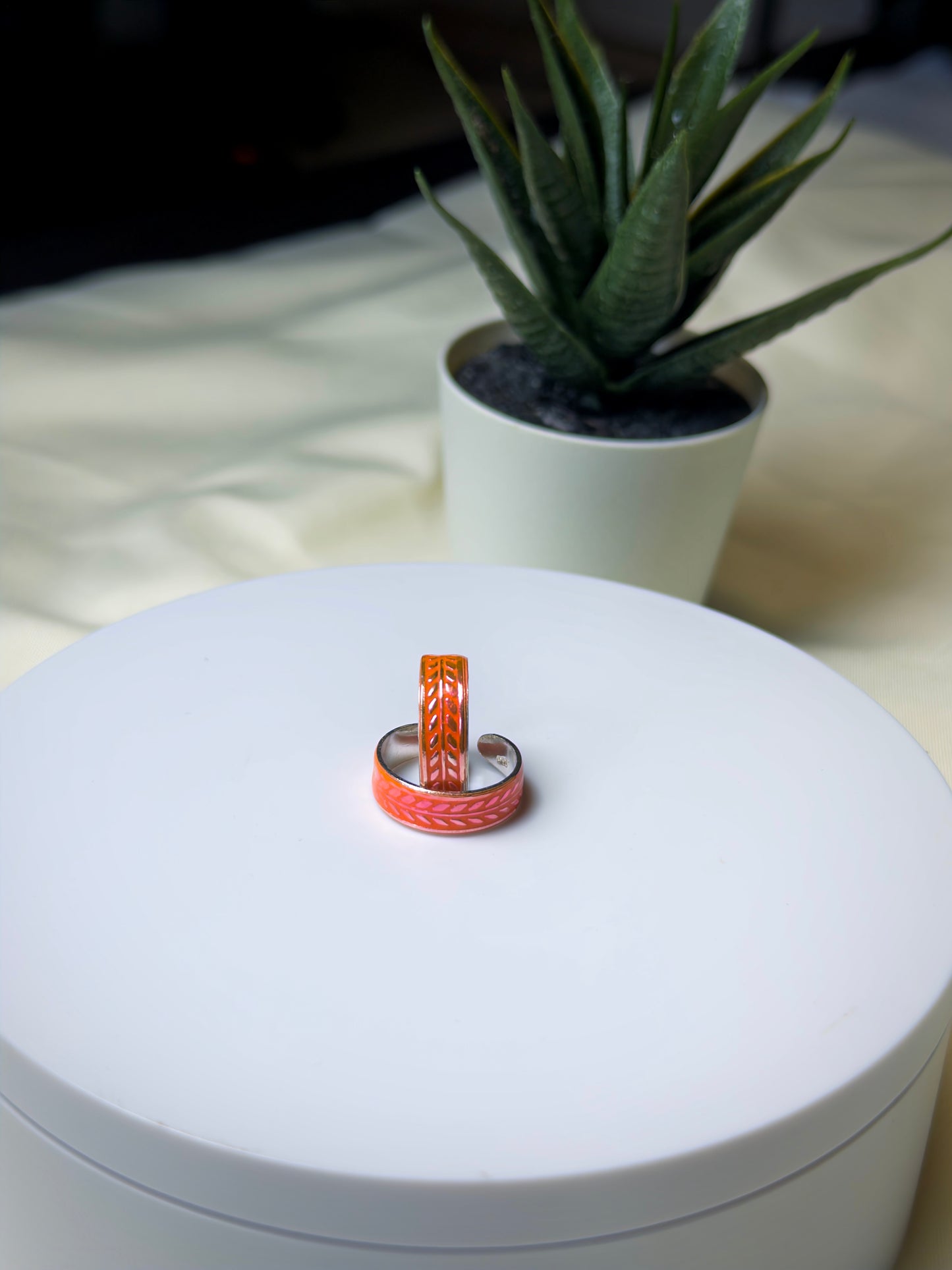 Two toe rings on a white surface with a plant in the background