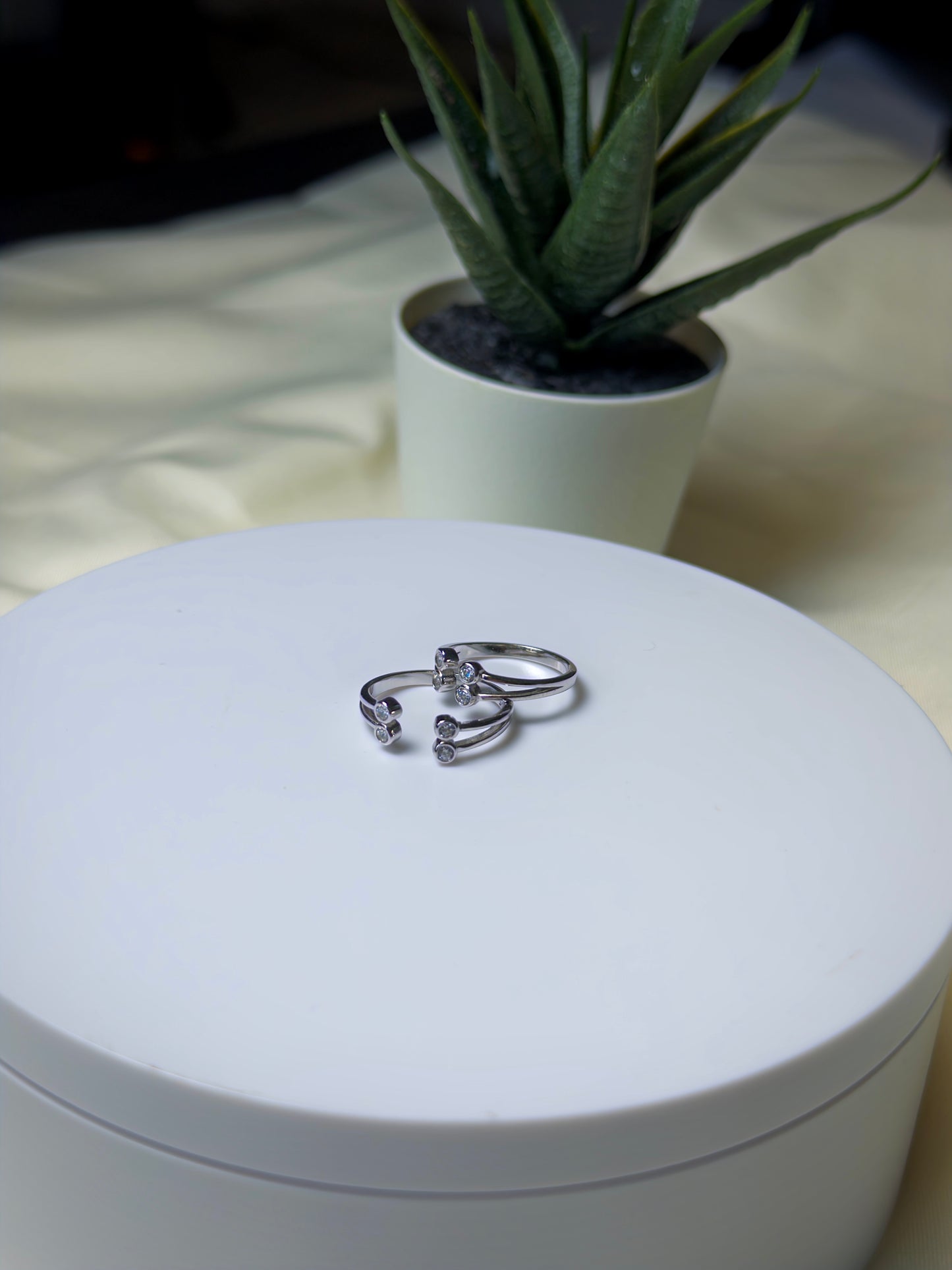 Two silver toe rings on a white box with a potted plant in the background