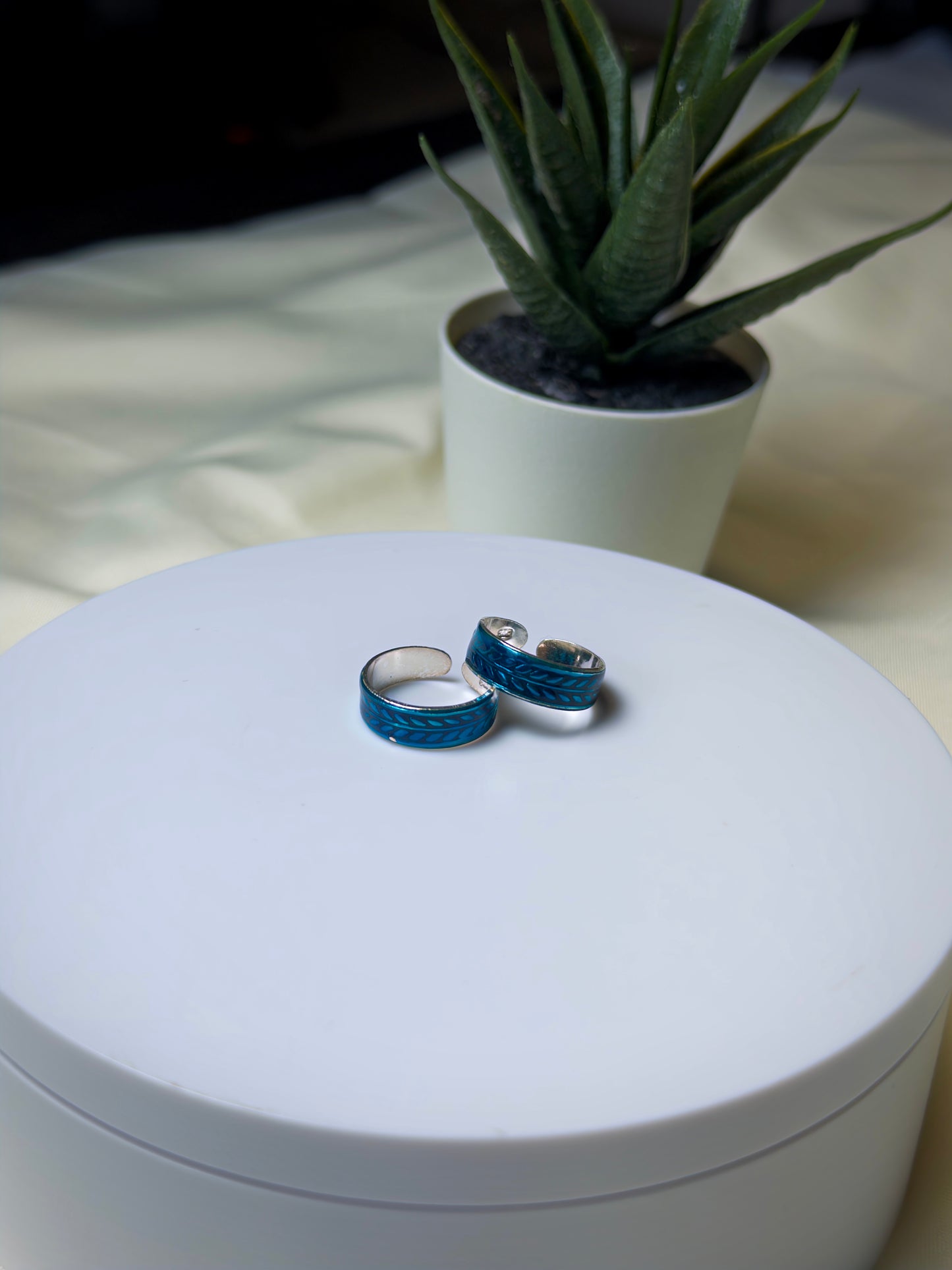 Silver toe rings with blue accents on a white surface, with a plant in the background.