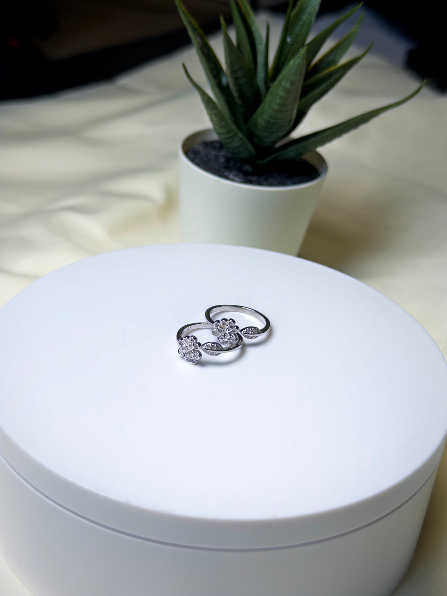 Two toe rings on a white jewelry box with a potted plant in the background.