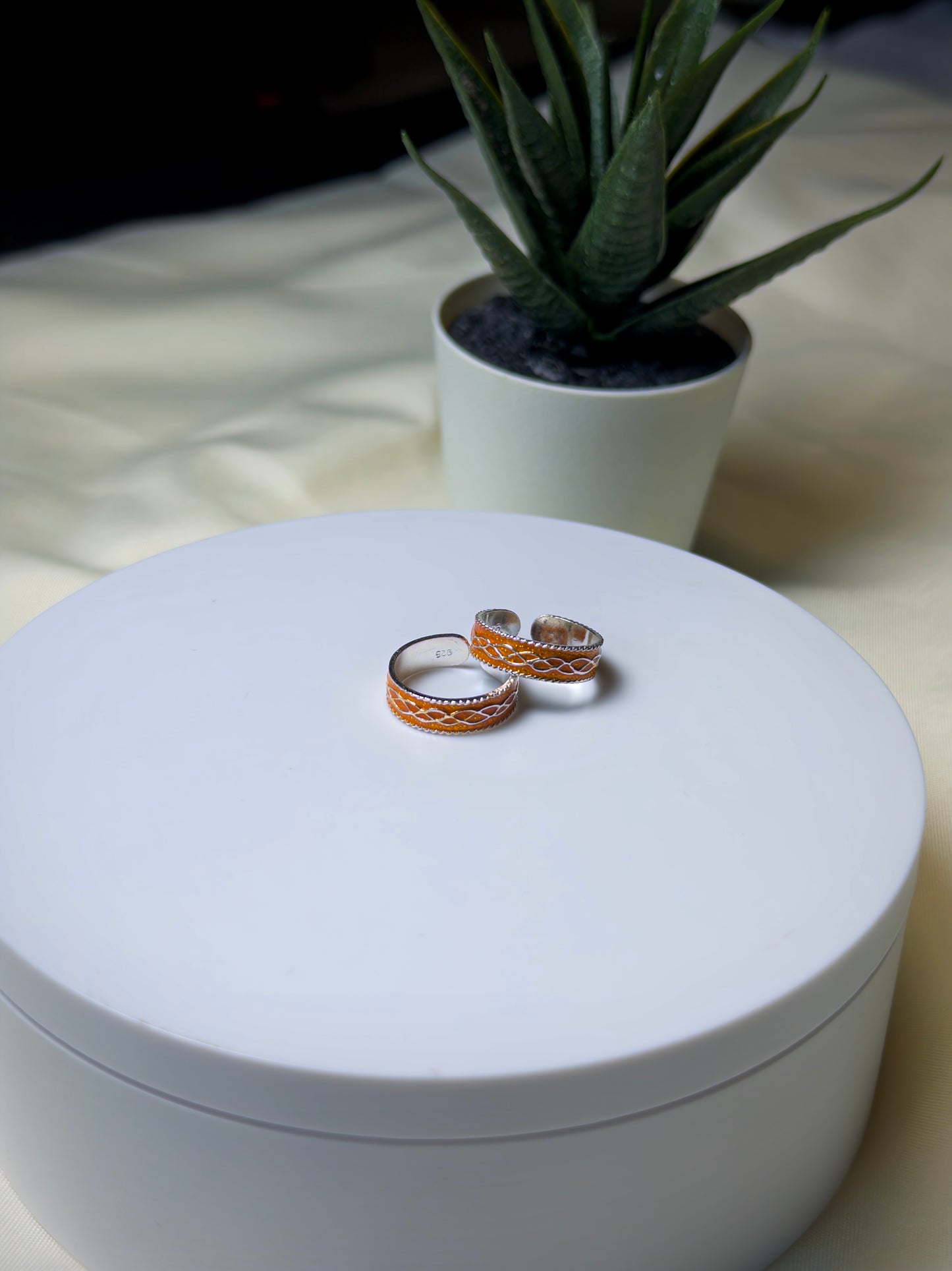 Two toe rings on a white box with a potted plant in the background