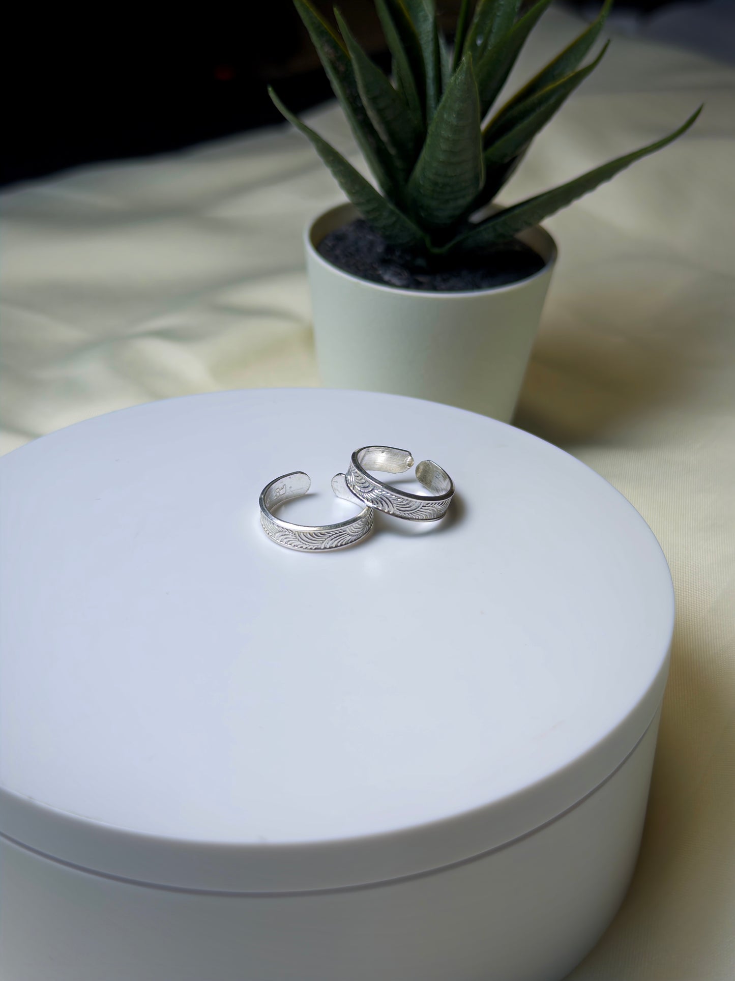 Two silver toe rings on a white box with a potted plant in the background