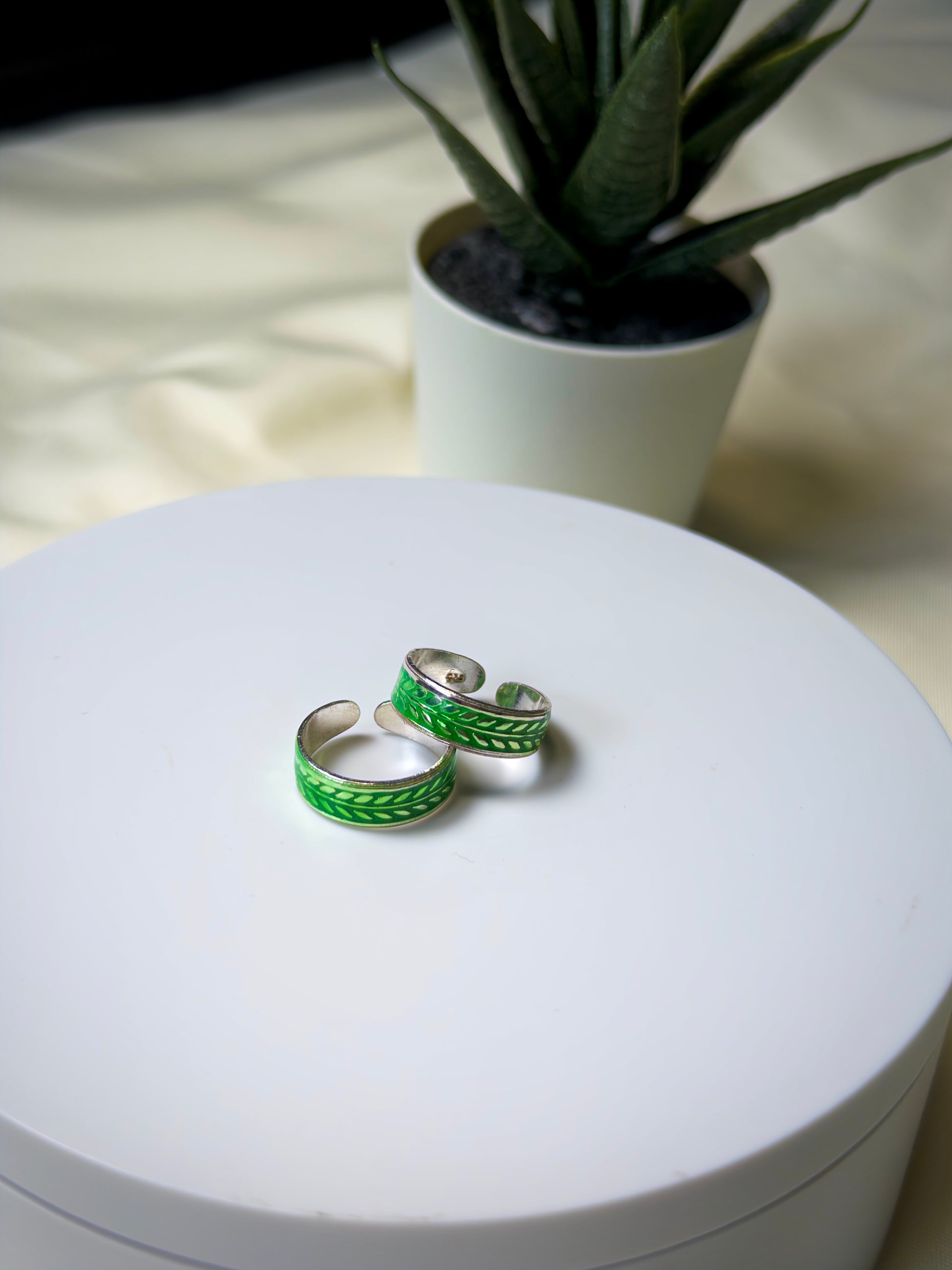 Two silver toe rings on a white surface with a potted plant in the background.