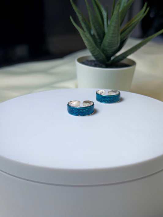 Two blue and silver rings on a white surface with a plant in the background