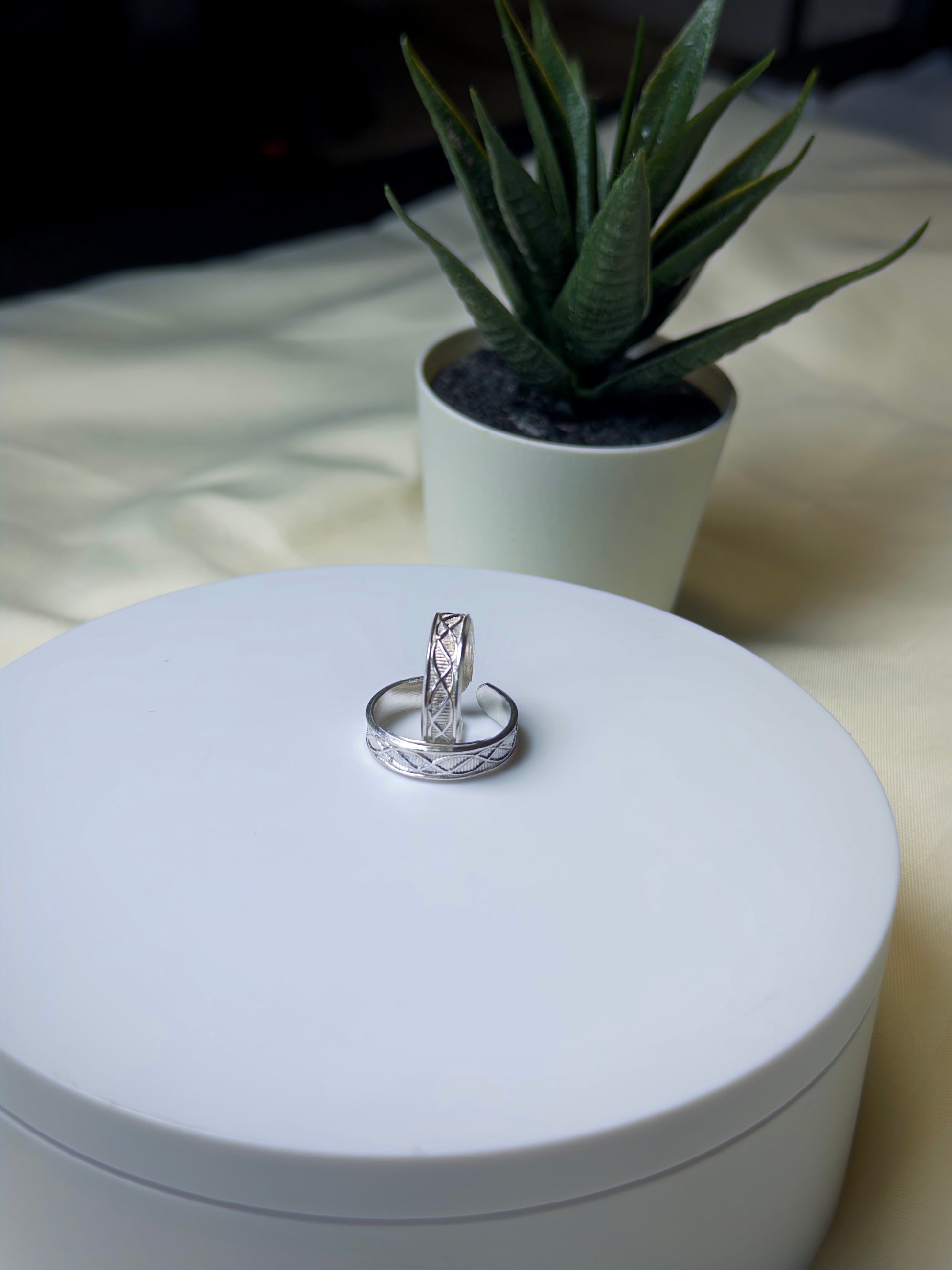 Two silver toe rings on a white box with a plant in the background