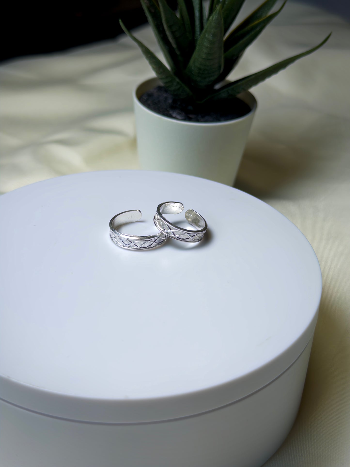 Pair of silver toe rings on a white box with a plant in the background